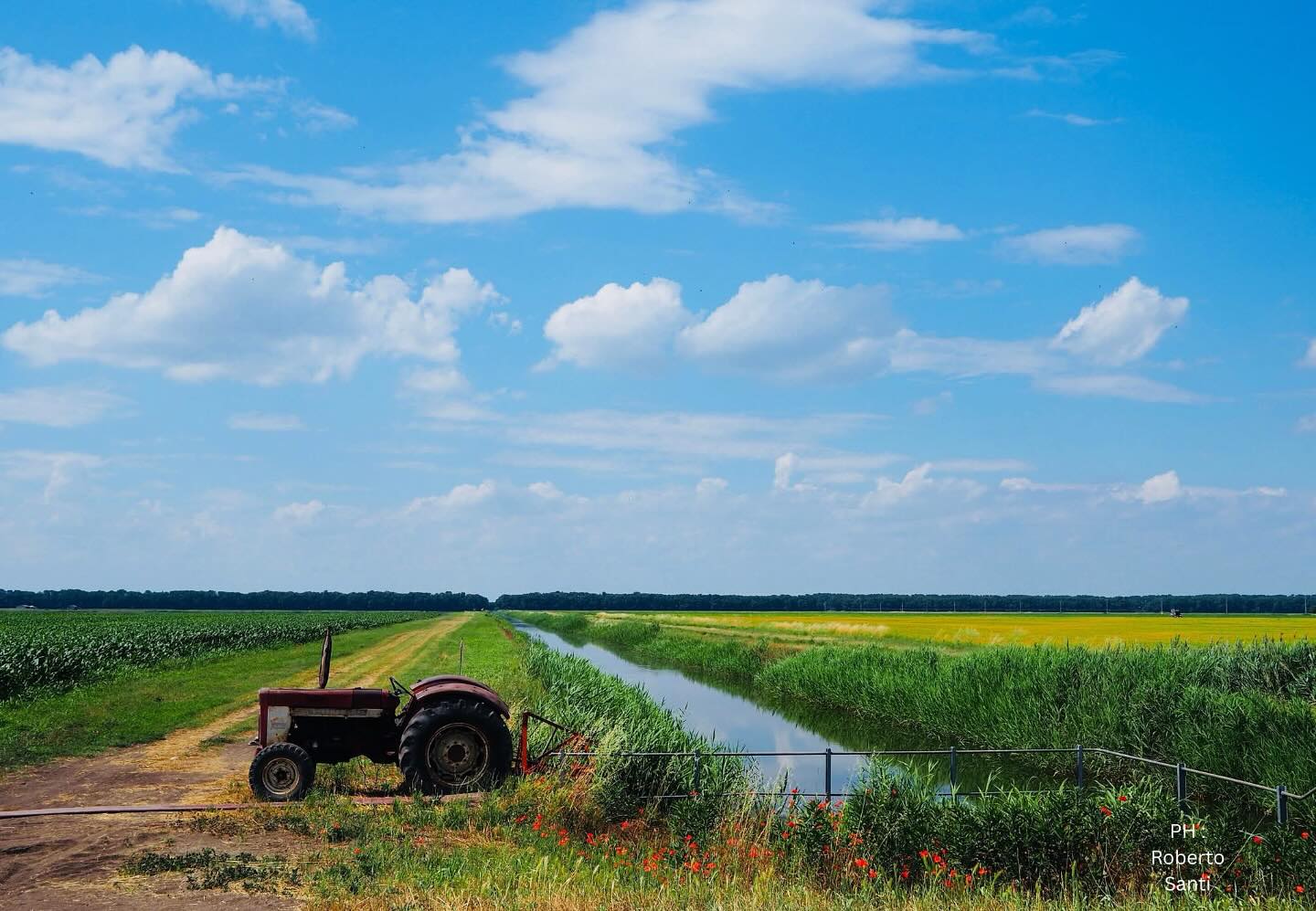 🌍 Giornata mondiale contro la desertificazione e la siccità
“Non è più solo la siccità, ma il caldo anomalo a rendere urgente l’adattamento climatico” – Francesco Vincenzi, Presidente ANBI.
In Emilia-Romagna, i Consorzi di bonifica affrontano il cambiamento climatico con innovazione, gestione efficiente dell’acqua e opere per la sicurezza del territorio.
💧 Serve più di buone pratiche: servono infrastrutture resilienti per proteggere agricoltura e risorse idriche. #anbi #anbiemiliaromagna #acqua #emiliaromagna #sostenibilitá
