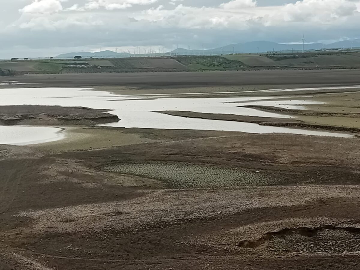 IL TAVOLIERE DELLE PUGLIE E’ ORMAI SENZ’ACQUA – BRUTTO SEGNALE PER L’ECONOMIA AGRICOLA ITALIANA