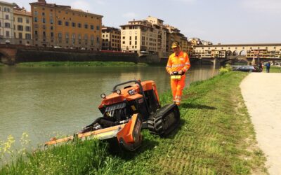 ANBI E CNEL PER L’ECONOMIA DELLA MANUTENZIONE DEL TERRITORIO – I DATI NE DIMOSTRANO L’URGENZA