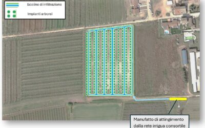 CATTURA L’ONDA – ACCORDO CON COCA COLA x POTENZIARE RISERVA IDRICA NEL VERONESE