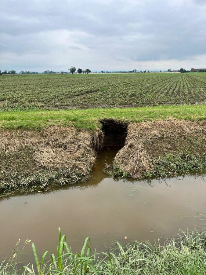 EMERGENZA NUTRIE E ANIMALI FOSSORI: A SAN SECONDO UNA TANA DI OLTRE 50 METRI CHE COSTERA’ 60 MILA EURO