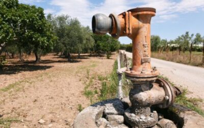 LA SICCITA’ ASSEDIA ANCHE ROMA – FUOCO E SETE MINACCIANO LE CAMPAGNE DEL PIU’ GRANDE COMUNE AGRICOLO D’EUROPA