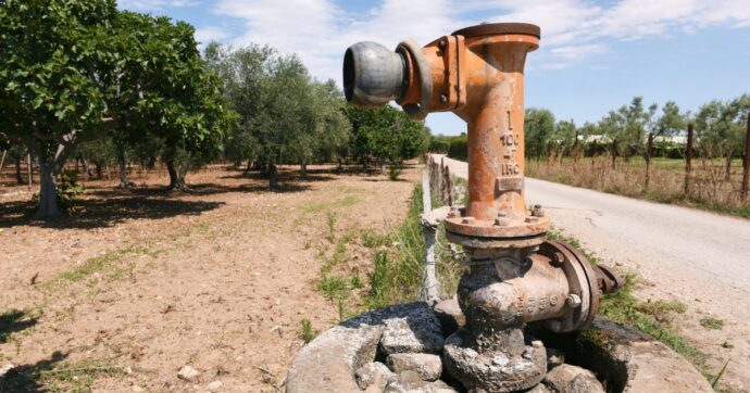 LA SICCITA’ ASSEDIA ANCHE ROMA – FUOCO E SETE MINACCIANO LE CAMPAGNE DEL PIU’ GRANDE COMUNE AGRICOLO D’EUROPA