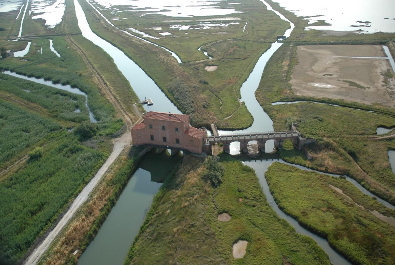 SARA’ SALVATA DAL MARE LA DIACCIA BOTRONA AREA NATURALISTICA SIMBOLO DELLA MAREMMA NEL MONDO