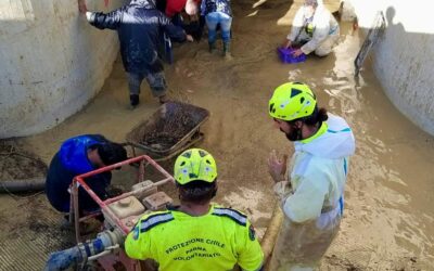 MALTEMPO IN ROMAGNA E BOLOGNESE: I CONSORZI DI BONIFICA IN AZIONE DALLE PRIME ORE DELL’EMERGENZA